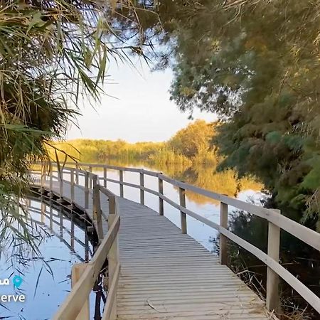 Azraq Lodge Al Azraq ash Shamali ภายนอก รูปภาพ